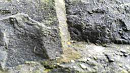 acastle
                          105370.jpg